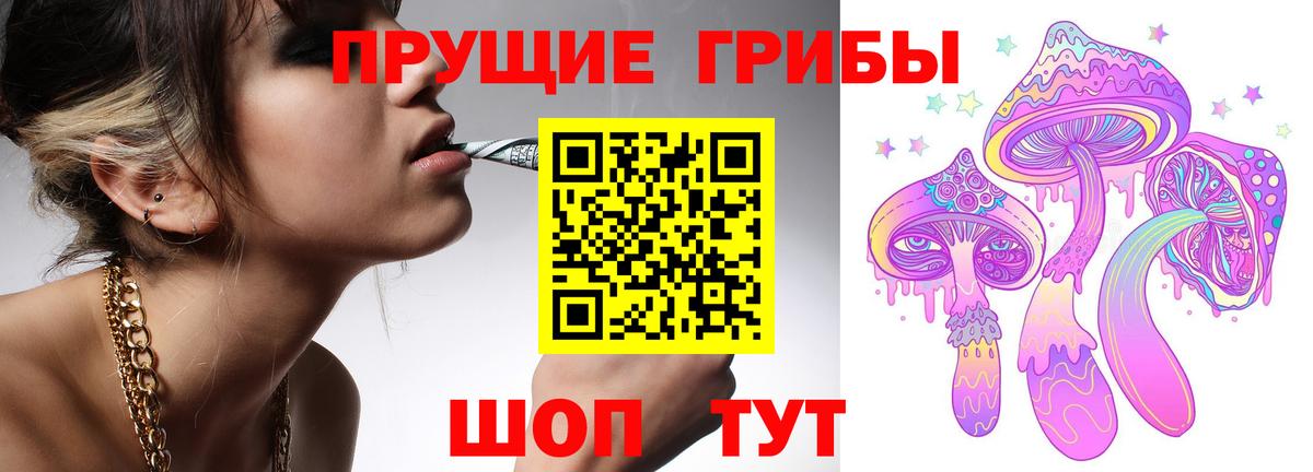 Белогорск  Псилоцибиновые грибы Cubensis  Вход с VPN  Галлюциногенные грибы мицелий 
